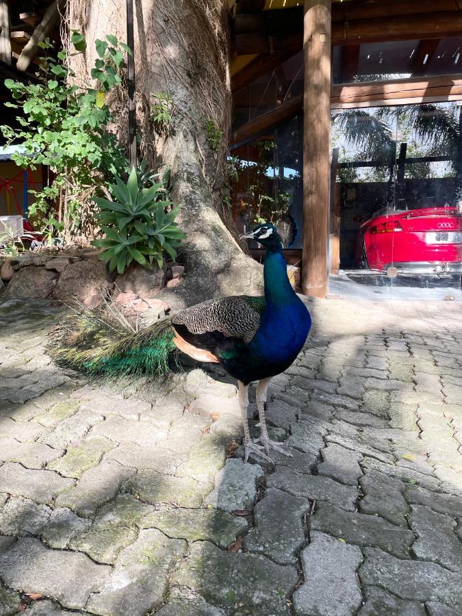 Pousada Familiar Casa Amarela São Gabriel 外观 照片